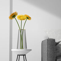 Light luxury painting gold transparent glass vase dried flower living room flower decoration creative simple Nordic water culture arrangement