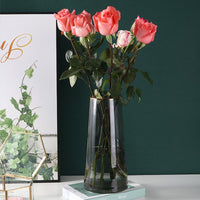 Light luxury painting gold transparent glass vase dried flower living room flower decoration creative simple Nordic water culture arrangement