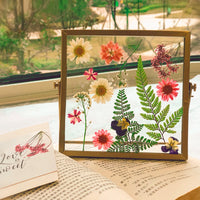 Dried Flower DIY Kit with Glass Photo Frame Set