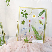 Dried Flower DIY Kit with Glass Photo Frame Set
