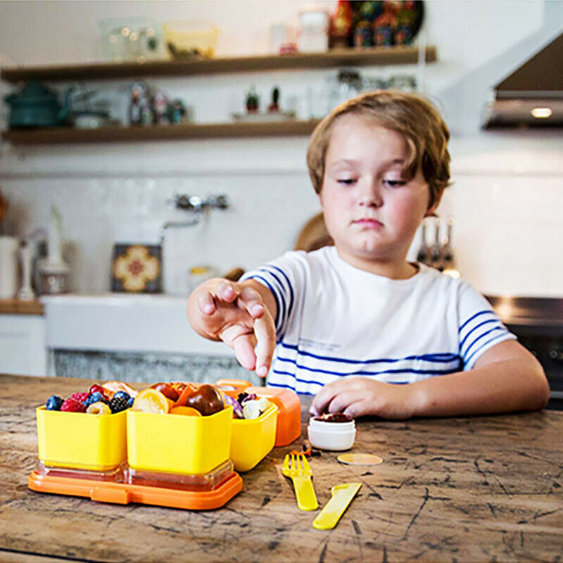 Children's Lunch Box Primary School Microwaved Food BPA Free French Monbento