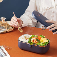 Portable Electric Plug-in Thermal Detachable Partition Bento Lunch Box Meal Food
